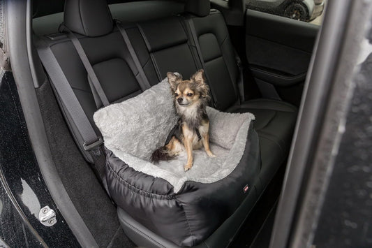 Trixie Convertible Lite Dog Car Seat 19.7 x 14.6 x 15.7 in – Cozy Booster with Safety Tether, Seat-Belt Straps & Side Pockets – Raised Travel Bed with Washable Cushion