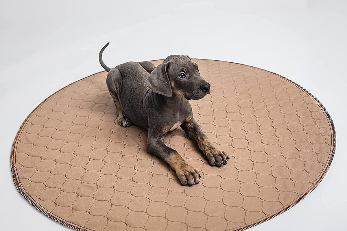 Reusable Dog Pee Pad, Washable Waterproof Round 48 in Mat, 1 Pack