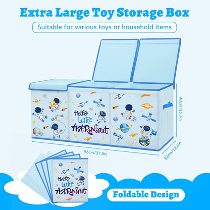 Large Toy Box Collapsible Chest Organizer with Flip Lid for Kids