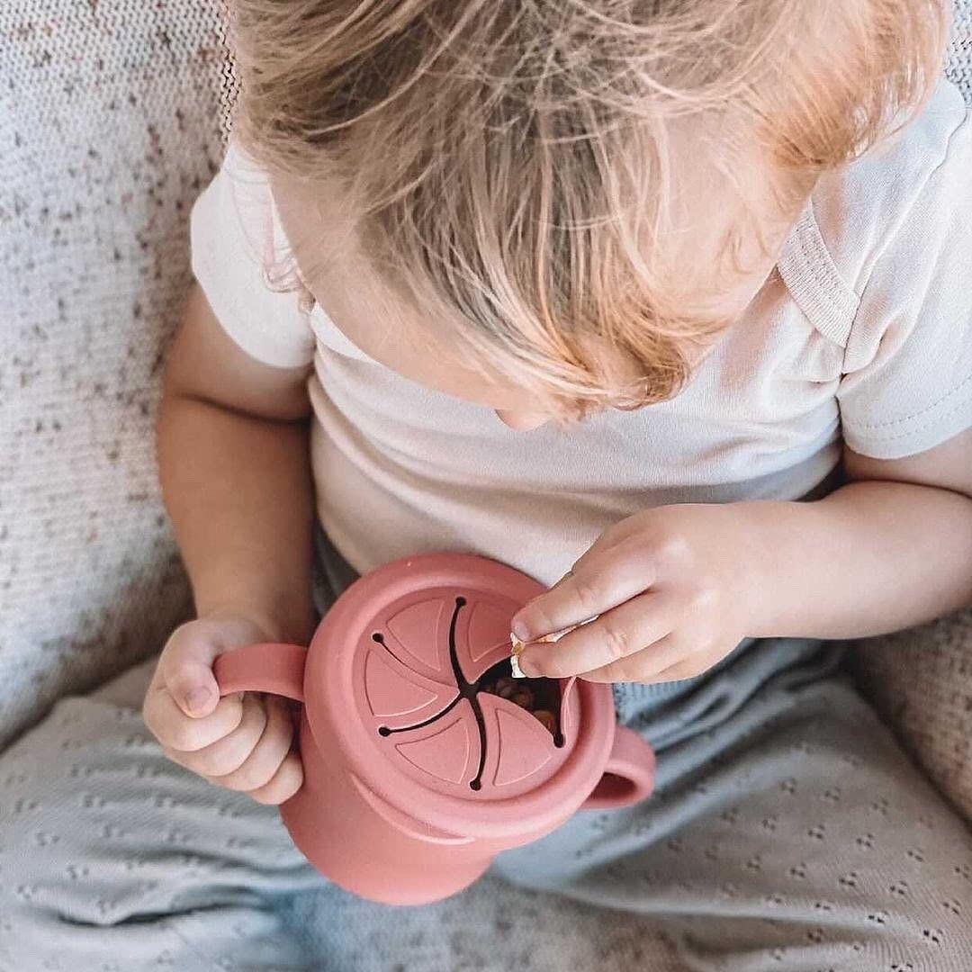 Baby Fruit Food Feeder & Silicone Sip-N-Snack Cup(Slate Grey & Grey)