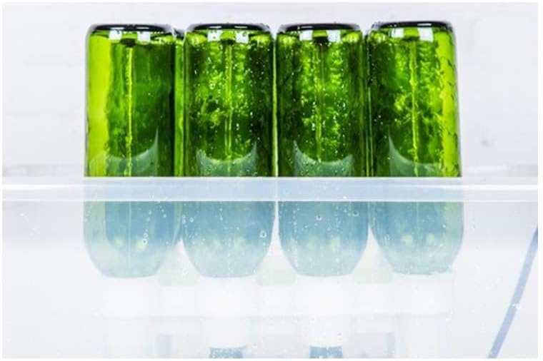 FastWasher 12 Beer Bottle Washer and Wine Bottle Cleaner | BOTTLES & RACKS NOT INCLUDED | General Purpose Rinser | Cleaner and Sanitizer System, Easy to Assemble