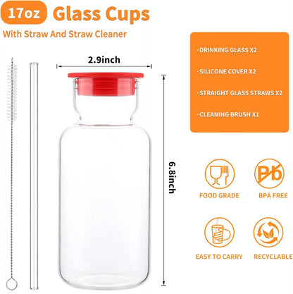 16oz Glass Water Bottle with Straw, Glass Tumbler Capacity Mark Juice Bottles Iced Coffee Cups Leak Proof BPA Free Glass for Car Cup Holder, Office, Travel [2 Pack]