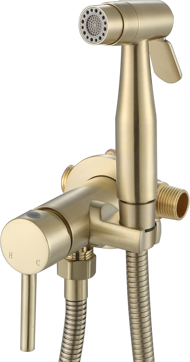 Chrome Handheld Bidet Sprayer for Toilet Warm Water, WiPPhs Stainless Steel Polished Silver Bidet Hand Held Sprayer with Brass Hot and Cold Mixing Valve, WI9138CP