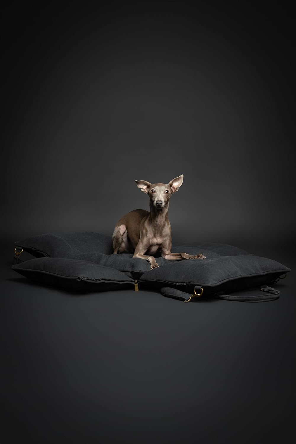 NOAH & PAW Small Dog Car Seat for Small Medium Pets with Harness Clip, 4X Safety Feature, Washable, Waterproof Dog Seat for Car, Orthopedic Foam Wrapped with Plush, Canvas Material