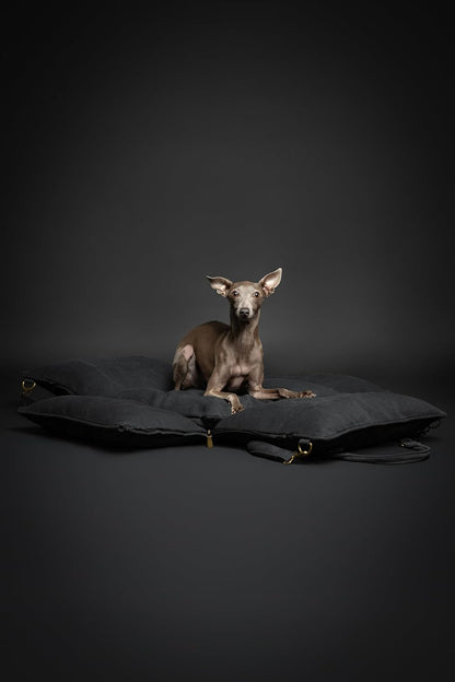 NOAH & PAW Small Dog Car Seat for Small Medium Pets with Harness Clip, 4X Safety Feature, Washable, Waterproof Dog Seat for Car, Orthopedic Foam Wrapped with Plush, Canvas Material