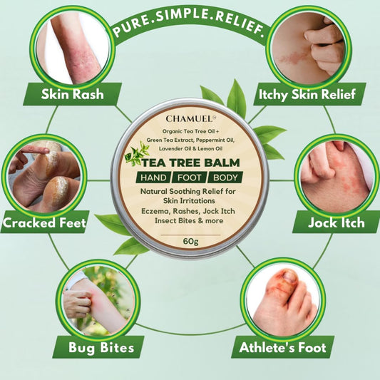 Tea Tree Oil Balm, Itchy Skin Relief for Soothing Rashes, Jock Itch, Athlete’s Foot, Folliculitis, Bug Bites. Natural Formula for Dry Sensitive Skin | Safe for All Ages 1pack