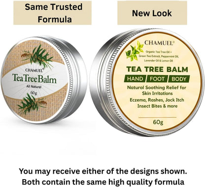 Tea Tree Oil Balm, Itchy Skin Relief for Soothing Rashes, Jock Itch, Athlete’s Foot, Folliculitis, Bug Bites. Natural Formula for Dry Sensitive Skin | Safe for All Ages 1pack