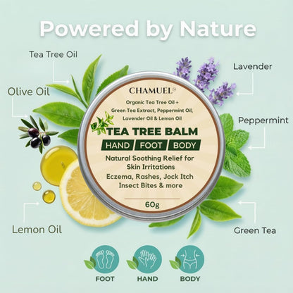 Tea Tree Oil Balm, Itchy Skin Relief for Soothing Rashes, Jock Itch, Athlete’s Foot, Folliculitis, Bug Bites. Natural Formula for Dry Sensitive Skin | Safe for All Ages 1pack