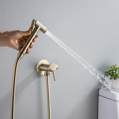 Bidet Sprayer for Toilet, Wall Mounted Hot and Cold Bidet Faucet, Handheld Cloth Diaper Sprayer Kit,Chrome(Gunmetal Gray)