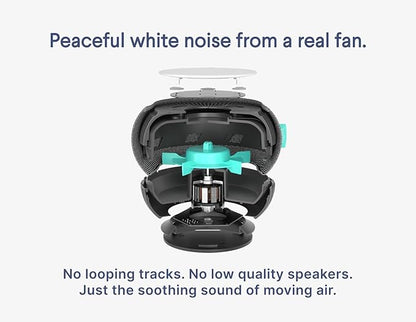 SNOOZ Smart White Noise Machine - Real Fan Inside for Non-Looping Sound, Portable Sleep Aid for Adults, Dogs, Pets, Travel, Home, Bedroom, Sleeping, Office Privacy, Therapy, & Baby Registry - Charcoal