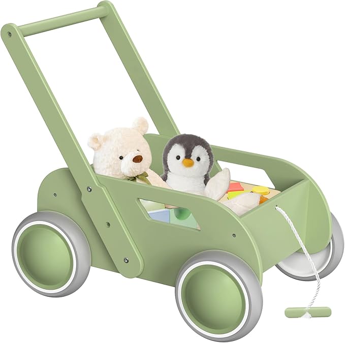 Wooden Baby Walker for Toddler, Baby Push Walker with Wheels for Infants Boys Girls, Toys Gift for Birthday Christmas New Year, Mint Green