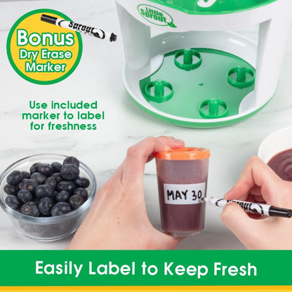 Baby Food Storage Containers w Interlocking Lids, 6 PK, 4oz Each, Reusable