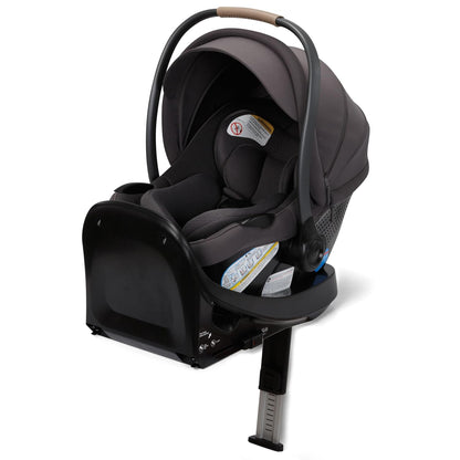 Ambra Infant Car Seat, Escargot