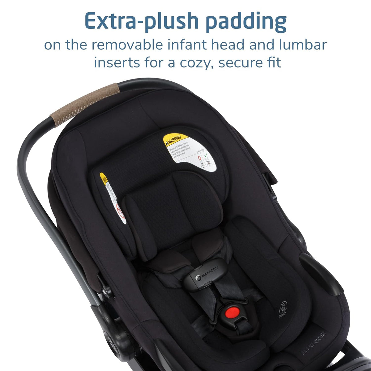 Ambra Infant Car Seat, Escargot