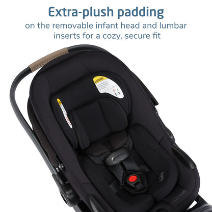 Ambra Infant Car Seat, Escargot