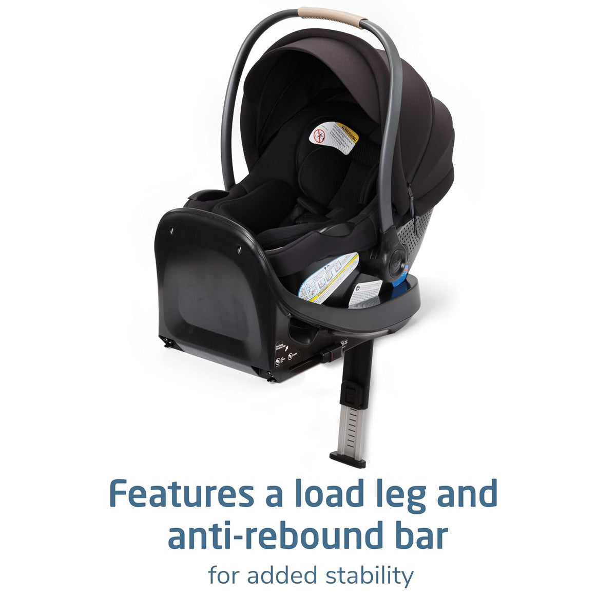 Ambra Infant Car Seat, Escargot