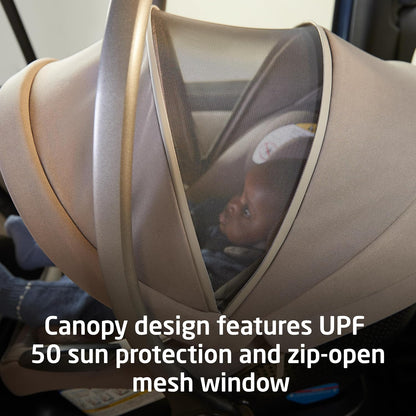 Ambra Infant Car Seat, Escargot