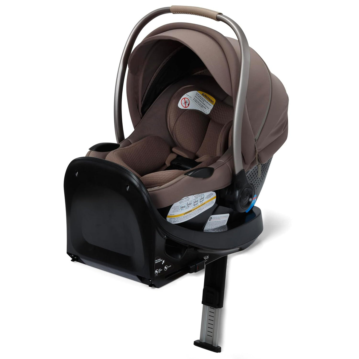 Ambra Infant Car Seat, Escargot