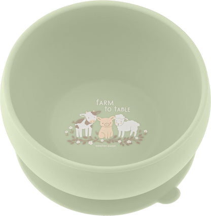 Stephen Joseph, Silicone Baby Bowls, Suction Bowl, Stay Put Suction Bowl, First Stage Self Feeding, Dino