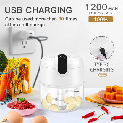 EASYSPEED Electric Garlic Chopper 1Cup, Mini USB Charging Wireless Food Processor with 304 Stainless Steel, 3 Sharp Blades, Portable Kitchen Meat Grinder for Onion, Garlic, Ginger, Baby Food