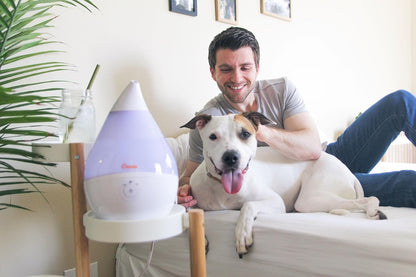 Droplet Ultrasonic Small Air Humidifiers for Bedroom and Office, 0.5 Gallon Cool Mist Humidifier for Plants and Home, Humidifier Filters Optional, White