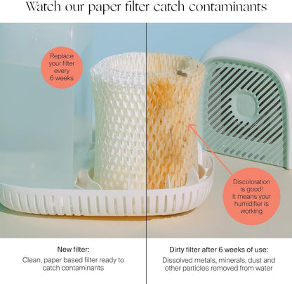 Canopy Original Bedside Humidifier Filter 2.0 – 3-Pack Replacement Filters | Compatible with Canopy Bedside Humidifiers, Made with Wood Pulp, Paper Filter, Replace Every Six Weeks