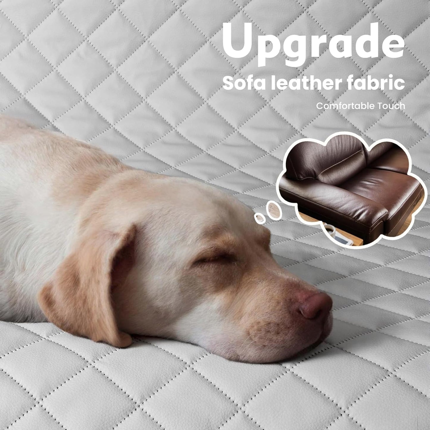 2-in-1 Dog Car Seat Cover for Back Seat, Transform to Passenger Mode - Dog Car Seat, Waterproof, Scratch-resistant, Support to 330lbs, for Outdoor Activities, Travel, to the Vet, for Cars/SUV/Truck