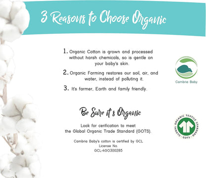 100% Organic Cotton Fitted Sheets for Graco Pack n Play, Babyletto, Pamo Babe, Hiccapop, Dream on Me, Evenflo, Baby Trend, Hygge Hush Portable/Mini Crib/Playards, Beka Bedside Bassinet 2 Pk