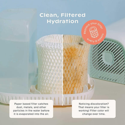 Canopy Original Bedside Humidifier Filter 2.0 – 3-Pack Replacement Filters | Compatible with Canopy Bedside Humidifiers, Made with Wood Pulp, Paper Filter, Replace Every Six Weeks