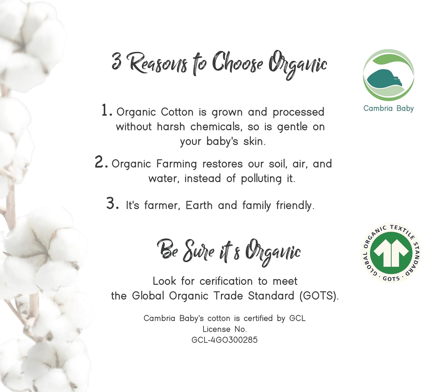 100% Organic Cotton 2 Pk Bedside Sleeper Bassinet Fitted Mattress Sheets Perfectly Compatible with Mika Micky, Baby Delight, Ronbei, Chicco, Cloud Baby, AMKE, Angelbliss, Arm's Reach. Cloud, Stripe