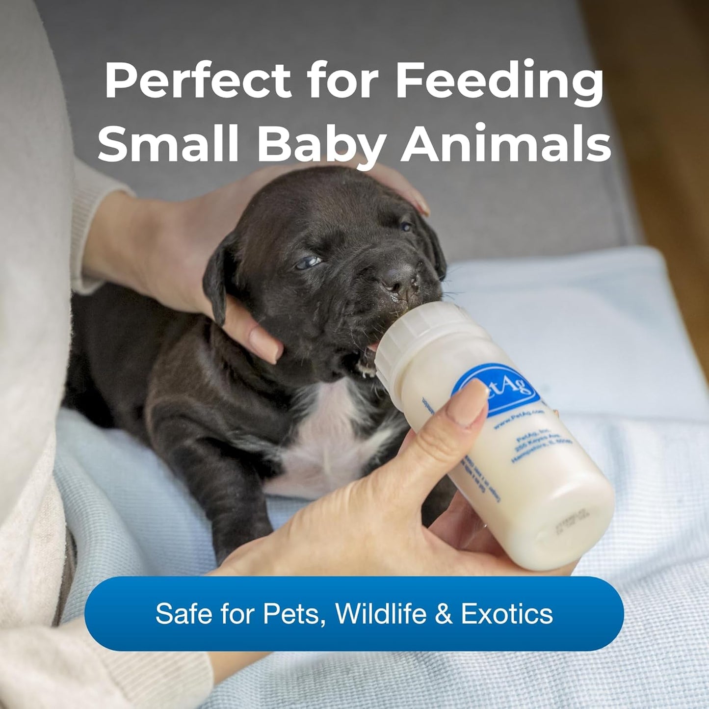 Pet-Ag Nursing Kit - 4 oz - Promotes The Natural Feeding of Liquids to Baby Animals - Each Kit Includes 4 oz. Bottle with Cap, 3 Nipples & Cleaning Brush