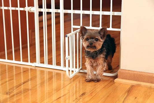 Carlson 24-38" Lil Tuffy Expandable Metal Dog Gate for Doorways, Indoor Pet Gate with Small Pet Door, No-Drill Pressure Mount, White