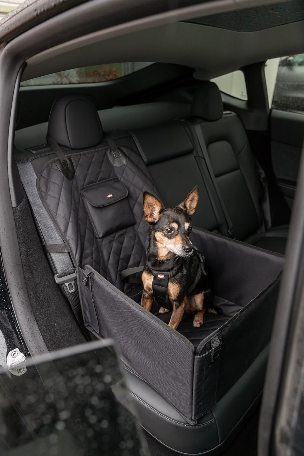Trixie Convertible Lite Dog Car Seat 19.7 x 14.6 x 15.7 in – Cozy Booster with Safety Tether, Seat-Belt Straps & Side Pockets – Raised Travel Bed with Washable Cushion