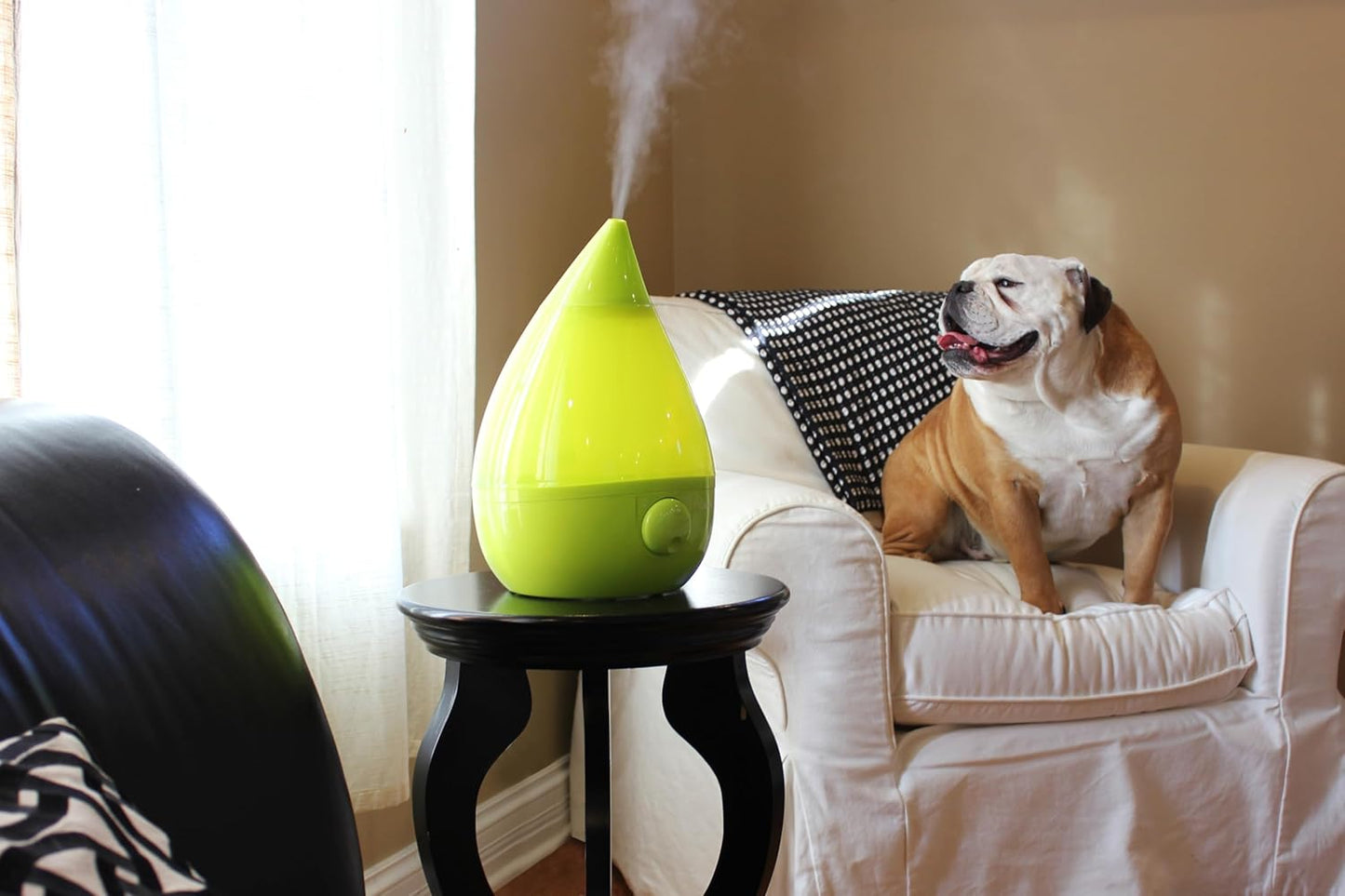 Crane Ultrasonic Cool Mist Humidifier for Bedroom, Baby Nursery, Kids Room, Plants, or Office, Large 1 Gallon Tank, Filter Optional, Clear and White
