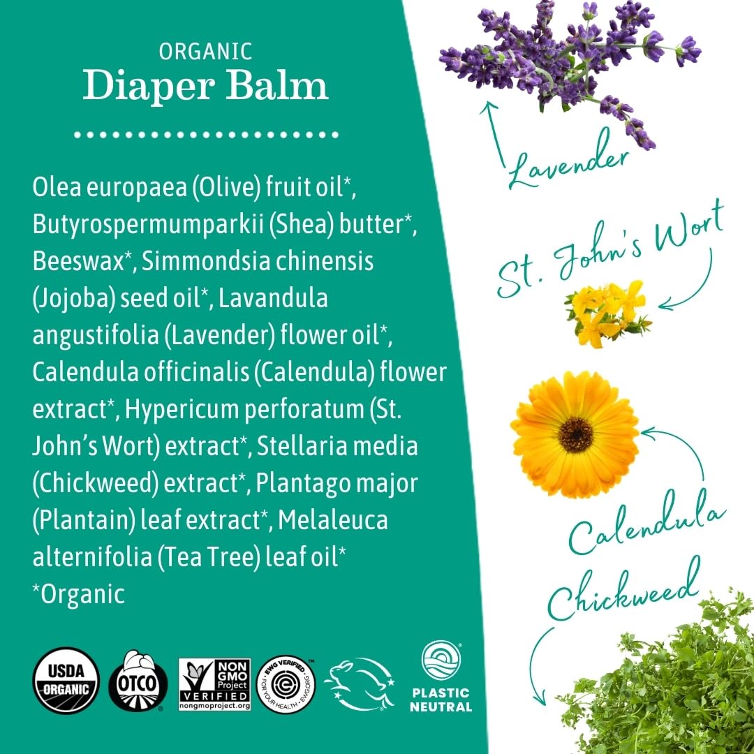 Earth Mama Organic Nipple Butter™ | Nipple Cream Safe for Breastfeeding | Postpartum Essentials for Nursing | Non Lanolin Nipple Cream, 2-Fluid Ounce