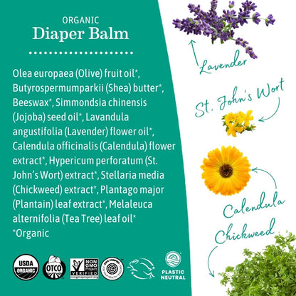 Earth Mama Organic Nipple Butter™ | Nipple Cream Safe for Breastfeeding | Postpartum Essentials for Nursing | Non Lanolin Nipple Cream, 2-Fluid Ounce