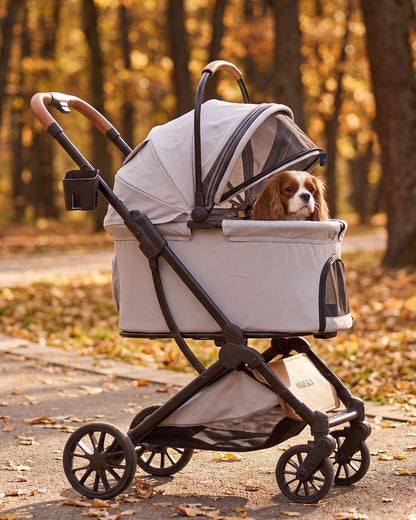 Pet Stroller with Detachable Carrier for Small, Medium Dogs & Cats, Lightweight Foldable Design, Travel-Ready, Compact Storage (Cloud Gray)