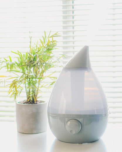 Crane Ultrasonic Cool Mist Humidifier for Bedroom, Baby Nursery, Kids Room, Plants, or Office, Large 1 Gallon Tank, Filter Optional, Clear and White