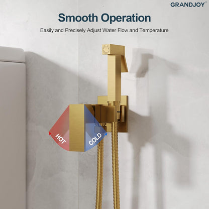Brushed Gold Hot & Cold Handheld Bidet Sprayer for Toilet, Adjustable Water Pressure Control, SUS304 Stainless Steel Hose Wall Mount Bidet Faucet for Feminine Wash & Cloth Diaper