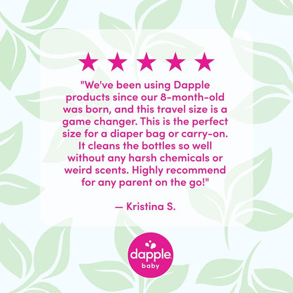 Dapple Baby Fragrance Free Bottle & Dish Soap - (3 Pack) 16.9 fl oz - Cleans Baby Bottles, Sippy Cups, Pacifiers, Breast Pumps, & More - Gently Removes Milk Film & Odors - Includes 1 Pump