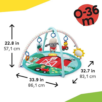 Ingenuity Baby Einstein Farm Explorers Happy Harvest Touch & Feel Baby Play Gym & Mat with 5 Removable Toys, 20+ Songs & Sounds, Ages 0+ Months