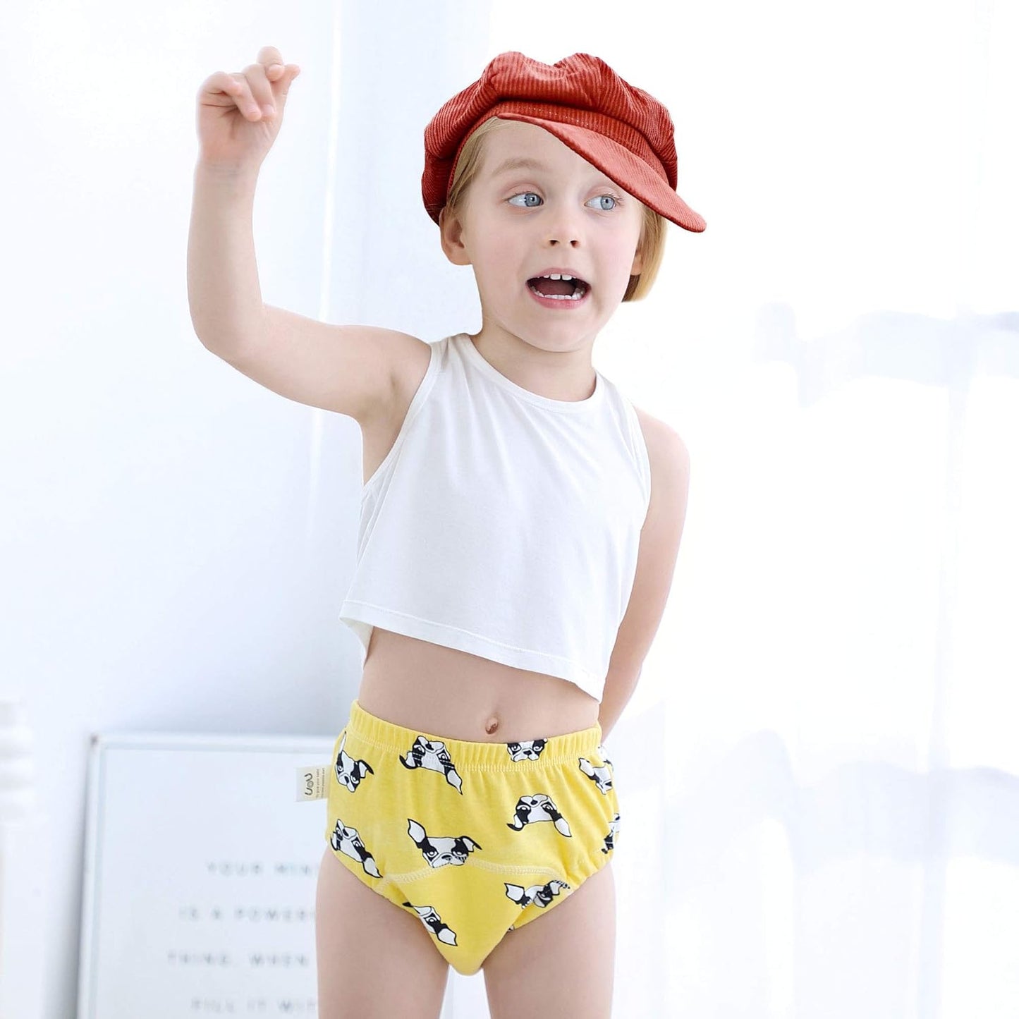 Toddler Potty Training Pants 4 Pack,Cotton Training Underwear Size 2T,3T,4T,Waterproof Underwear for Kids