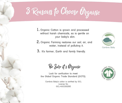 100% Organic Cotton Fitted Sheets for Graco Pack n Play, Babyletto, Pamo Babe, Hiccapop, Dream on Me, Evenflo, Baby Trend, Hygge Hush Portable/Mini Crib/Playards, Beka Bedside Bassinet 2 Pk