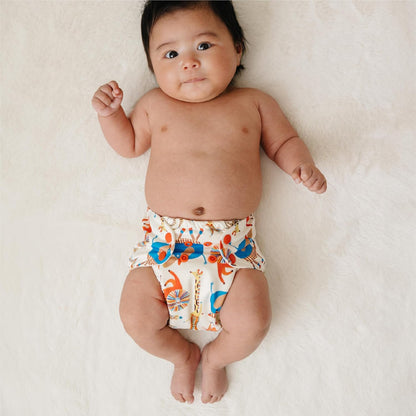 Esembly Cloth Diaper Cover - Reusable Swim Diaper, Waterproof, Breathable - Adjustable Outer Layer Over Absorbent Inner for Blowout Protection - Sea Glass, Size 2 (18-35lbs)