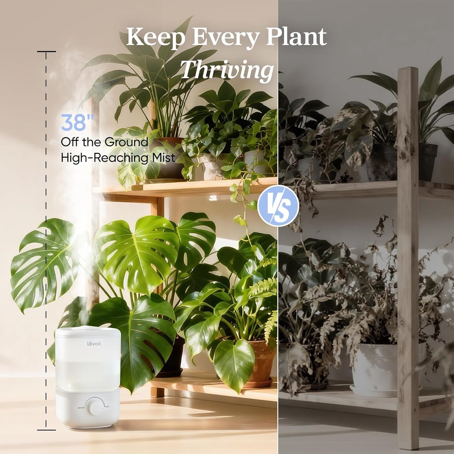 LEVOIT Dual 200S Smart Humidifiers for Bedroom, Top Fill, Customize Humidity for Home, Baby Nursery & Plants with Humidistat, Essential Oil Diffuser, Schedule, Timer, APP & Voice Control, 3L, Blue