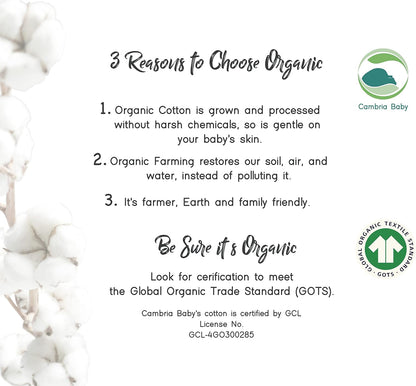 100% Organic Cotton 2 Pk Bedside Sleeper Bassinet Fitted Mattress Sheets Perfectly Compatible with Mika Micky, Baby Delight, Ronbei, Chicco, Cloud Baby, AMKE, Angelbliss, Arm's Reach. Cloud, Stripe