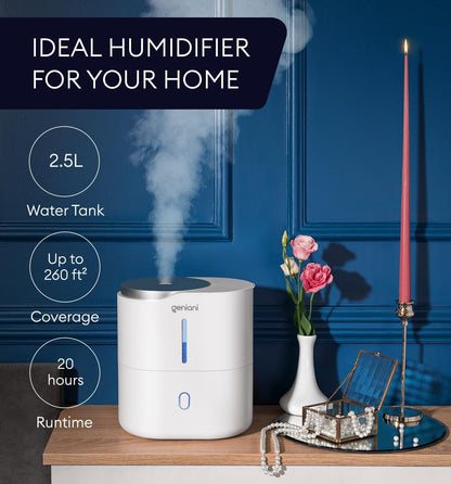 GENIANI Portable Cool Mist Humidifiers for Bedroom & Office - Ultrasonic Humidifier for Home, Baby, Small Room with Auto Shut Off, 250ML Easy to Clean Water Tank