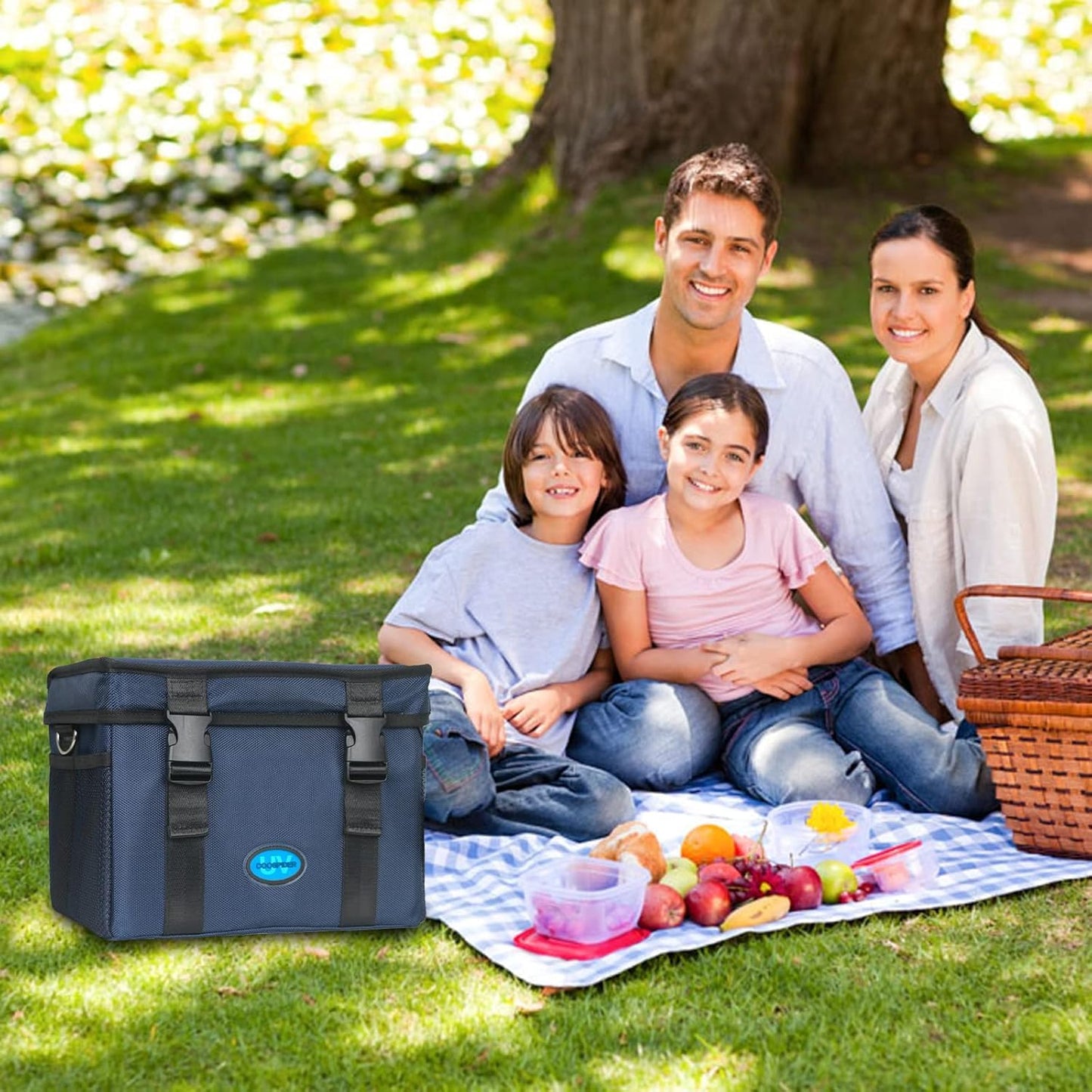 UVC Sanitizer Box Ozone Free with Timer, Portable Large Cleaner Bag with USB Port, UV Light Blue Tote for Mask, Cell Phone, Baby Bottle, Key, Towel 12L/3.17 gal