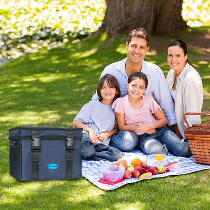 UVC Sanitizer Box Ozone Free with Timer, Portable Large Cleaner Bag with USB Port, UV Light Blue Tote for Mask, Cell Phone, Baby Bottle, Key, Towel 12L/3.17 gal