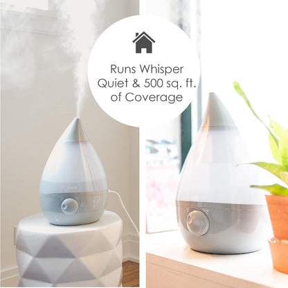 Crane Ultrasonic Cool Mist Humidifier for Bedroom, Baby Nursery, Kids Room, Plants, or Office, Large 1 Gallon Tank, Filter Optional, Clear and White